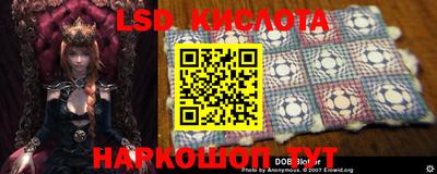 MDMA Краснознаменск