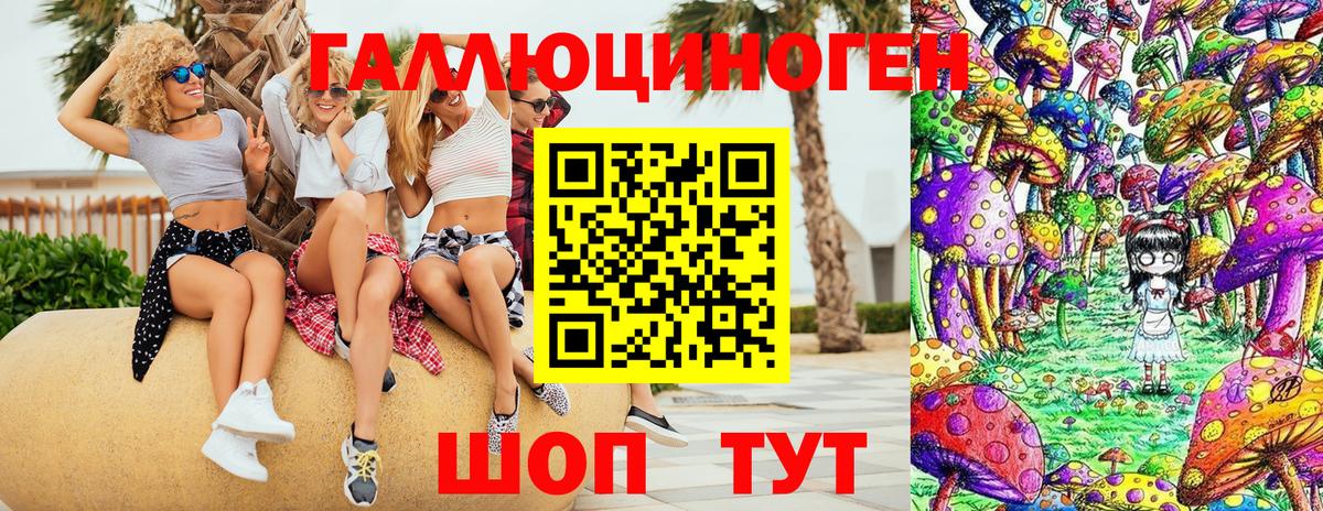Галлюциногенные грибы GOLDEN TEACHER  Галлюциногенные грибы MAGIC MUSHROOMS  Качканар  Вход с VPN 